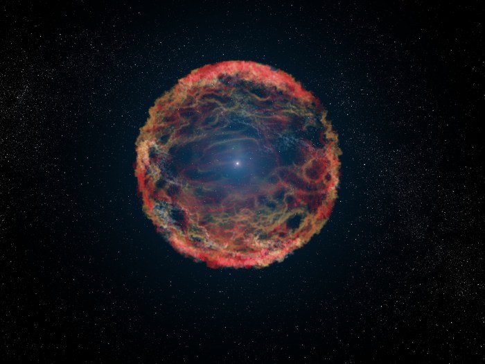 This is an artist's impression of supernova 1993J, an exploding star in the galaxy M81 whose light reached us 21 years ago. The supernova originated in a double-star system where one member was a massive star that exploded after siphoning most of its hydrogen envelope to its companion star. After two decades, astronomers have at last identified the blue helium-burning companion star, seen at the center of the expanding nebula of debris from the supernova. The NASA/ESA Hubble Space Telescope identified the ultraviolet glow of the surviving companion embedded in the fading glow of the supernova. Links: NASA Press release Spiral galaxy M81 Supernova 1993J in spiral galaxy M81 Supernova 1993J Scenario for Type IIb supernova 1993J